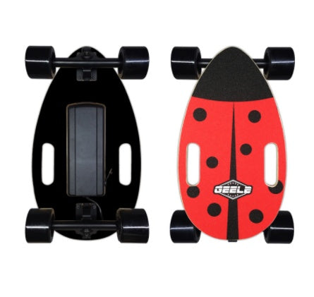 Electric Land Surfboard Four Wheel Skateboard Portable